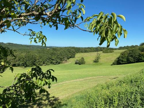 Domaine de Cazal - G�te 4 Pers