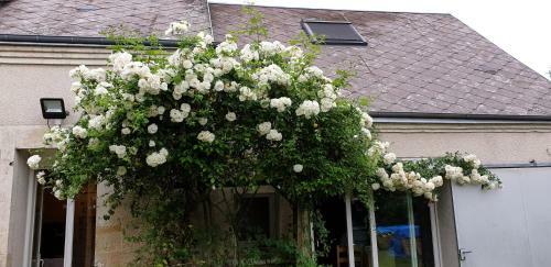 Hostal Le Coffret D'avenir