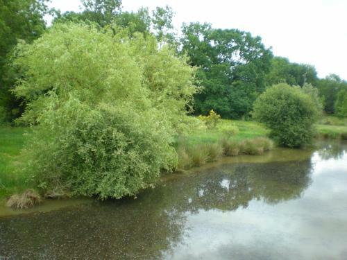 Bed & Breakfast Chambres D'h�tes Du Moulin de La Chaussee