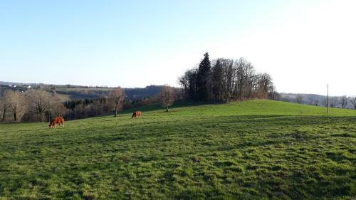 G�te Du Bosquet Pays de Salers Cantal