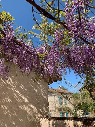 Bed & Breakfast Domaine Du Conte Bleu