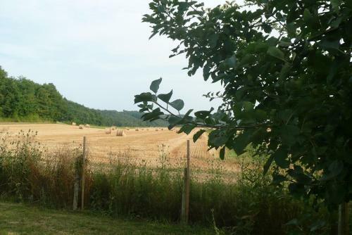 Bed & Breakfast Domaine Serrot