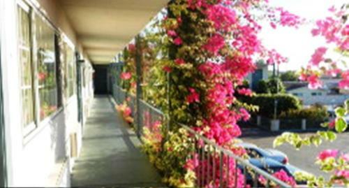 Motel Antioch Executive Inn