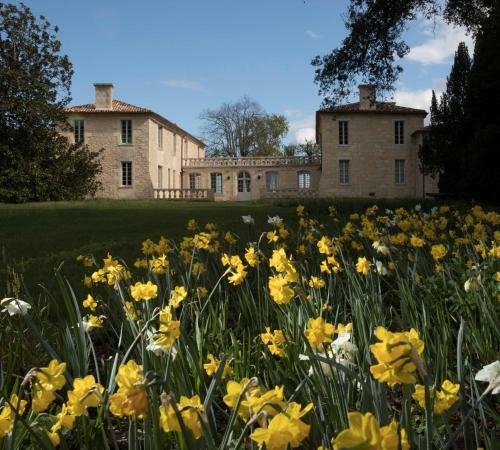Bed & Breakfast Ch�teau De Ferrand
