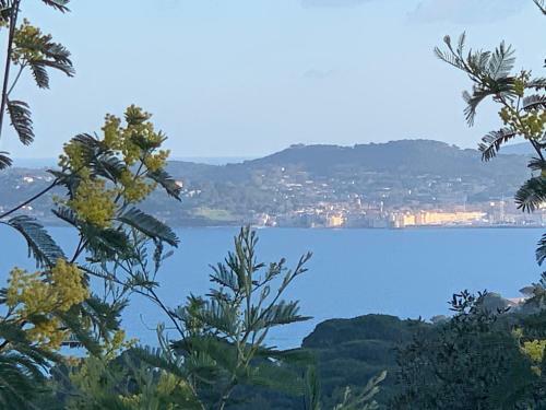Apartamento Le Grand Large