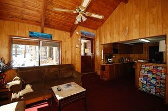 Motel In The Pines