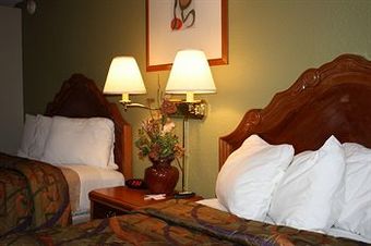 Motel In The Pines