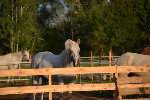 Bed & Breakfast Mas D'auzi�res