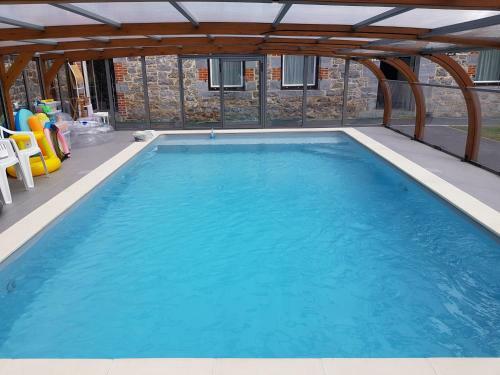 Hostal Duplex Swimming Cats