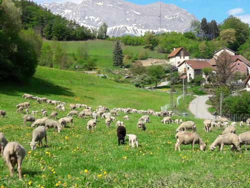 Bed & Breakfast Chambre D'h�te Chez Tourache