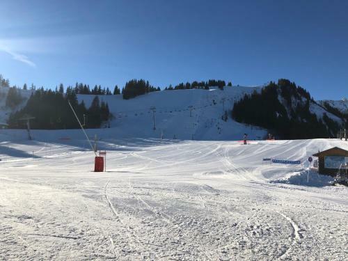 Apartamento Studio 4 Personnes Pieds Des Pistes