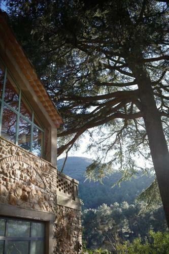 Bed & Breakfast Le Mas Fraissinet