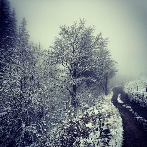 Chalet Serin
