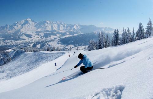 Chalet Ibex