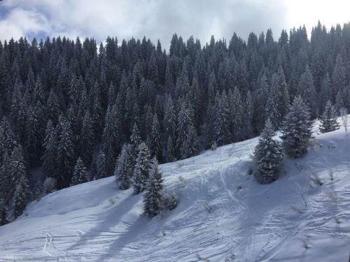 Chalet Du Meilly