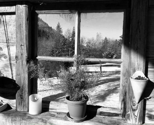 Charmant Mazot