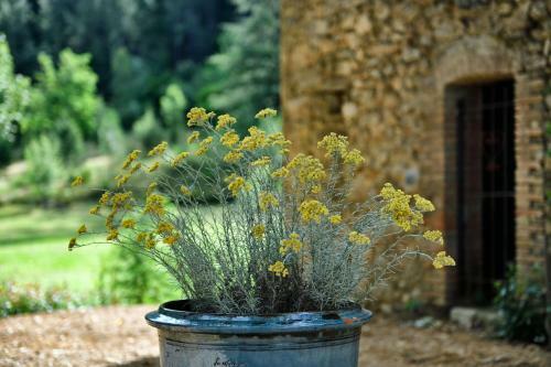 Hostal Les Jardins de Falgui�re