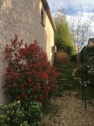 Apartamento Rose Villa