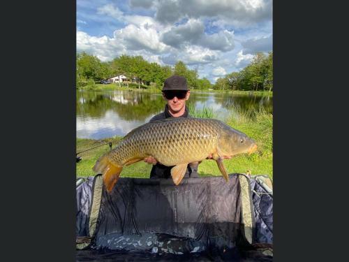 L?etang Carp Fishing Lake And Gite