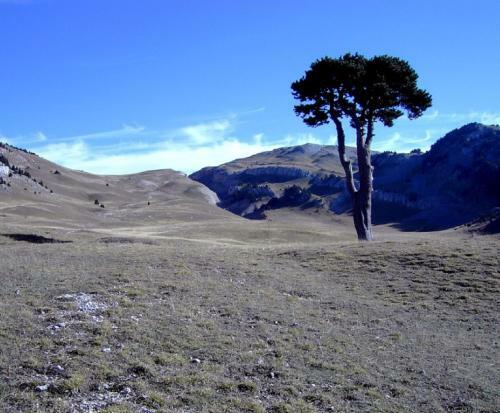 Okami Du Vercors
