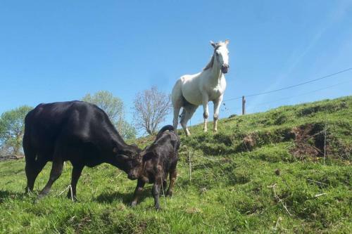 Macquart P.o.a. Ranch G�te De 2 � 8 Pers