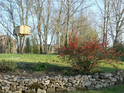 Domaine de Genevieve Des Vignes