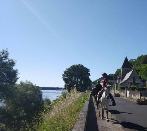 Naturellement Loire !