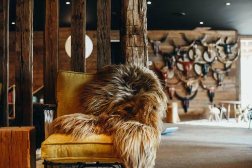 Lodji Hotel & R�sidence