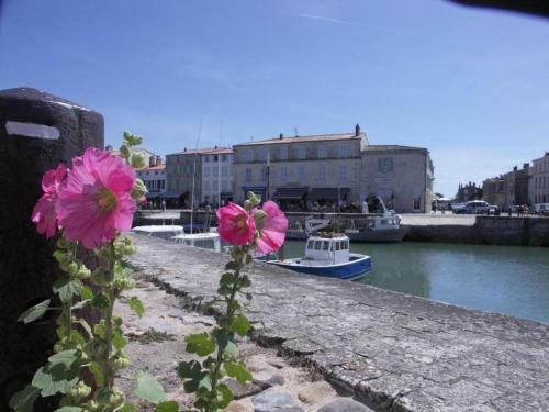 Apartamento Studio Orneau A 100m Du Port de St Martin