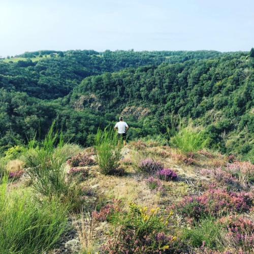 Domaine de La B�chadie - Saint Mesmin