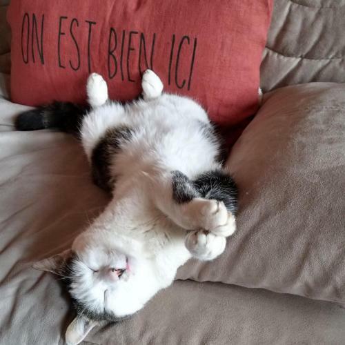 Bed & Breakfast R�ve De Causse