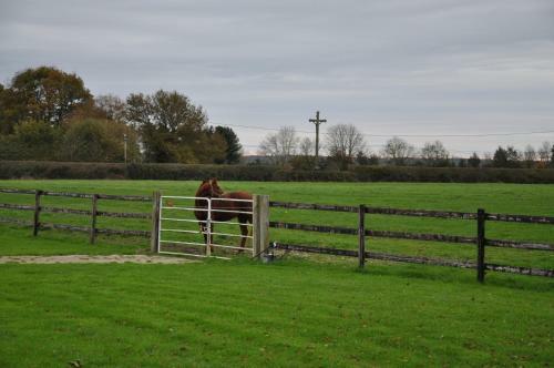 B&B Haras De La Cour Fleury