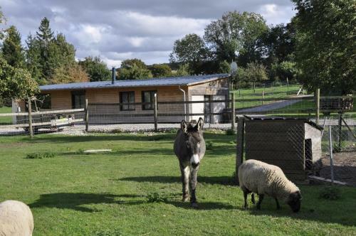 Agroturismo La Maison Du Bonheur "le Petit Four"