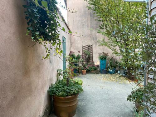 Hostal Un Verger Dans La Ville