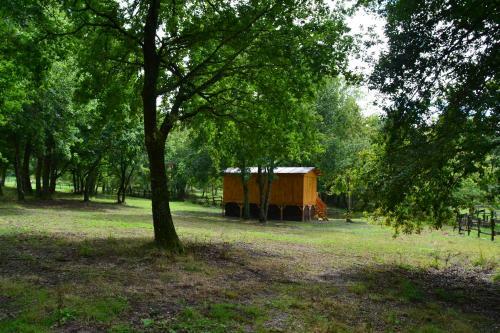 Bed & Breakfast Le Ranch Amadeus