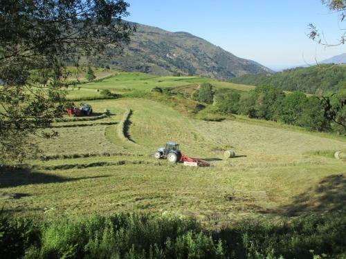 Chalet St Pierre Dels Forcats