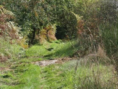 G�te Saint-romain-d'urf�, 3 Pi�ces, 4 Personnes - Fr-1-496-189