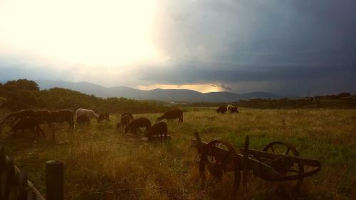 Une Pause Sur La Colline