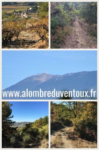 Hostal A L'ombre Du Ventoux