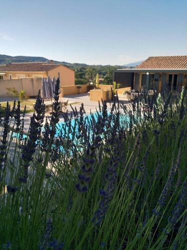 Hostal A L'ombre Du Ventoux
