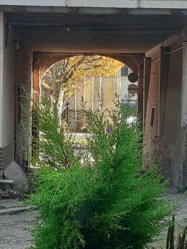 Hostal Maison D'h�tes Archangels Home