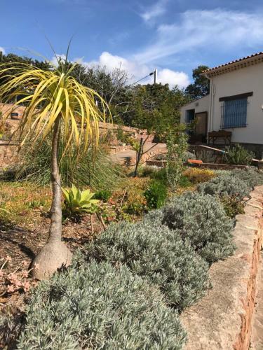 Apartamento Rez de Chauss�e de La Villa �lisabeth-anth�or, Saint-rapha�l