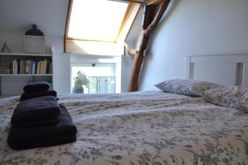Le Figuier, Large House With Pool, Gym & Separate Gite