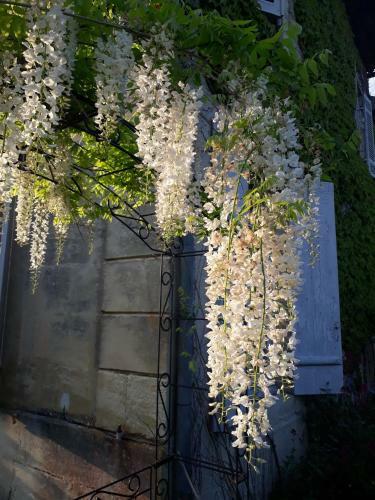 La Hourqueyre