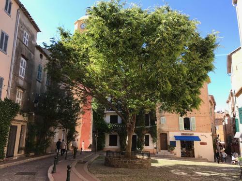 Apartamento Petit Jean