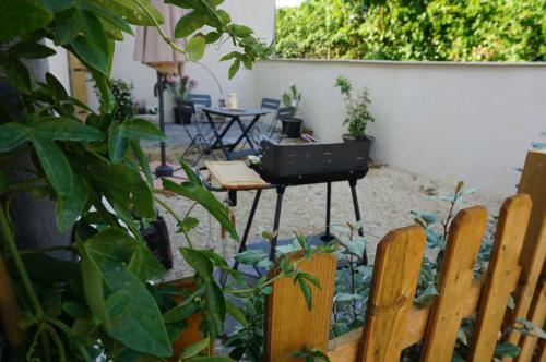 Fanchon Des Sablons