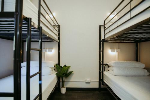 Albergue Alfred Park Accommodation