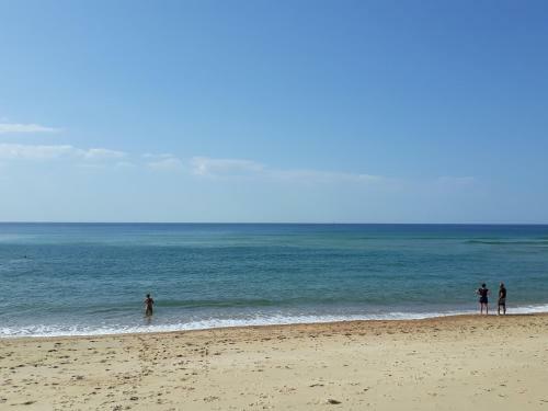 Apartamentos Appt Seignosse Le Penon - Plages Commerces � Pied