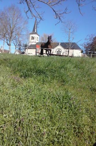 Bed & Breakfast Escale Du Morvan