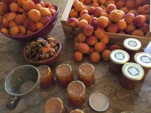 Bed & Breakfast Les Aigui�res En Provence